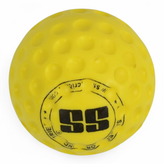 SS Bowling Machine/Training Ball