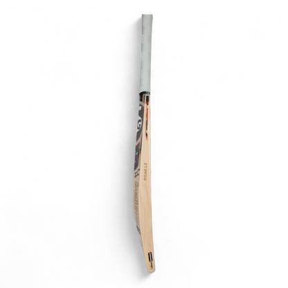 SG English Willow Cricket Bat - Roar LE #1