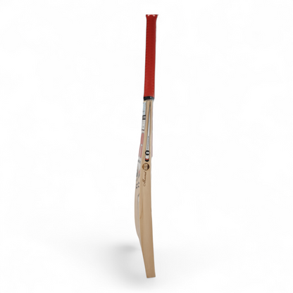 SS English Willow Cricket Bat - Maximus