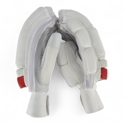 CHAMP Cricket Batting Gloves - Test Pro